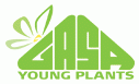GASA Young Plants A/S